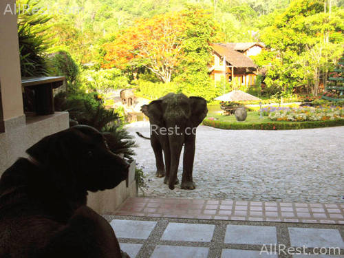 Belle Villa Resort 40